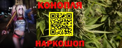 шишки Сланцы