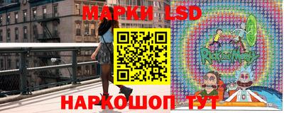 шишки Сланцы