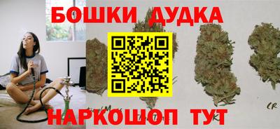 шишки Сланцы