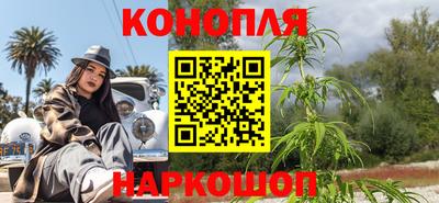 шишки Сланцы